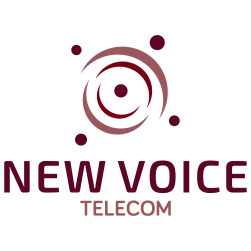 Logo: New Voice